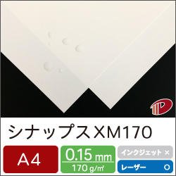 シナップス XM170 A4/50枚