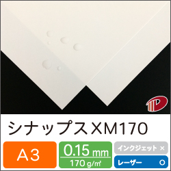 シナップス XM170 A3/50枚