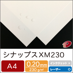 シナップス XM230 A4/50枚