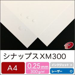 シナップス XM300 A4/250枚