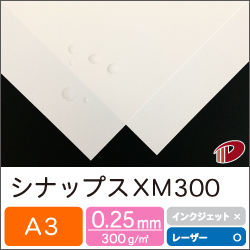 シナップス XM300 A3/10枚