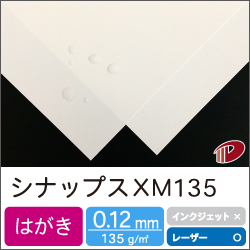 シナップス XM135 はがきサンプル/1枚