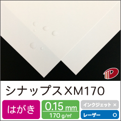 シナップス XM170 はがきサンプル/1枚