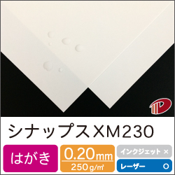 シナップス XM230 はがきサンプル/1枚