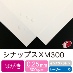 シナップス XM300 はがきサンプル/1枚