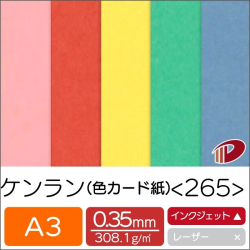 ケンラン＜265＞A3/20枚