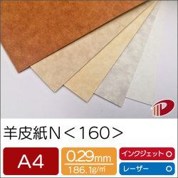 羊皮紙N＜160＞A4/20枚