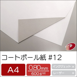 コートボール紙 #12 A4サンプル/1枚