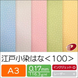 江戸小染はな＜100＞A3/20枚