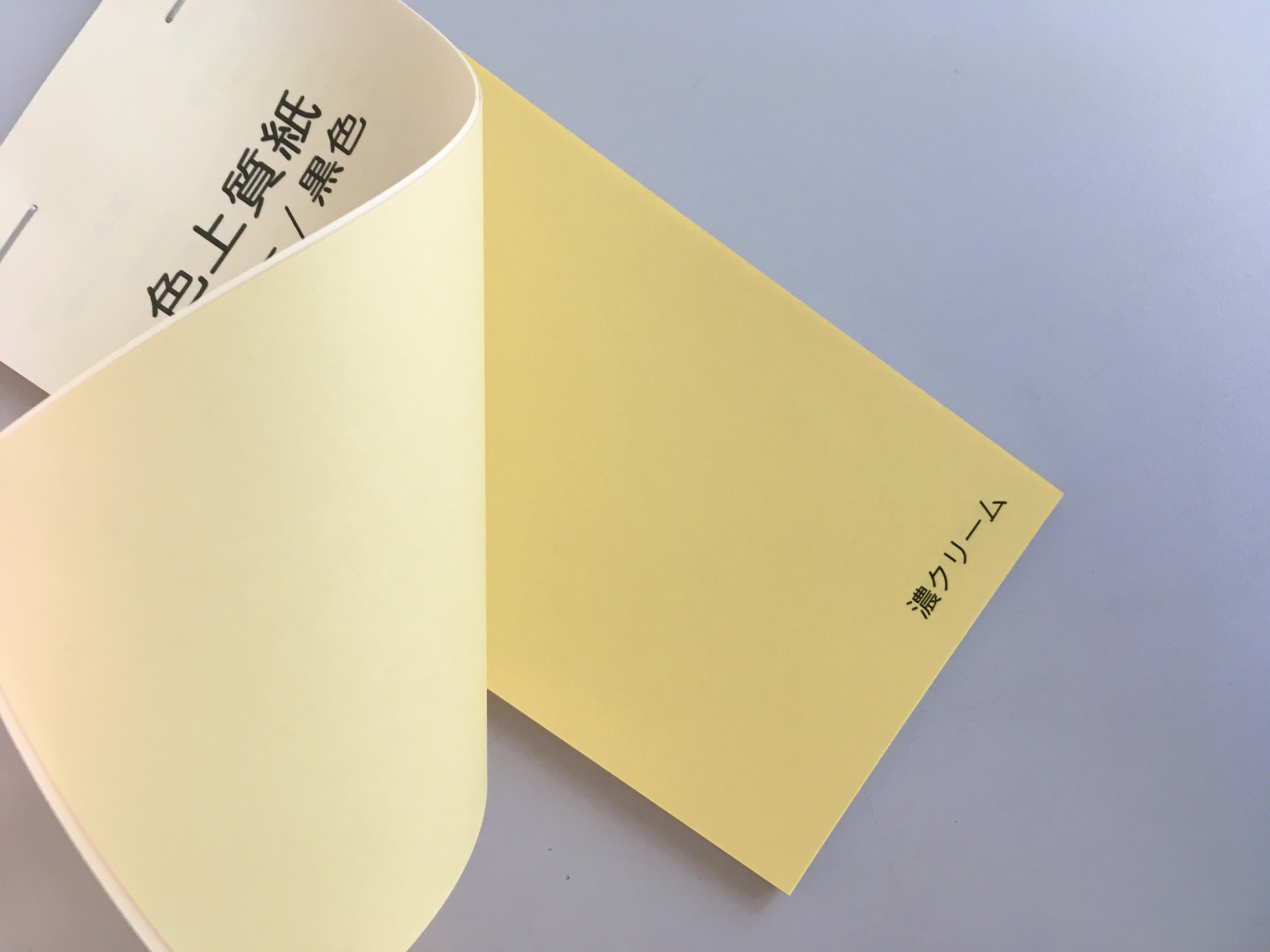 色上質紙カラー 黒色見本帳 1冊 紙通販ダイゲン